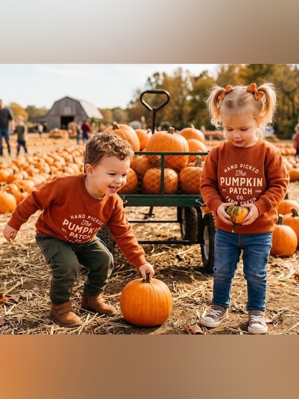 Size 24 month Pumpkin Patch Kids Rust Orange Crewneck Sweatshirt, Cotton Fall